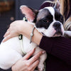 Crystal Pup Paw Kollektion