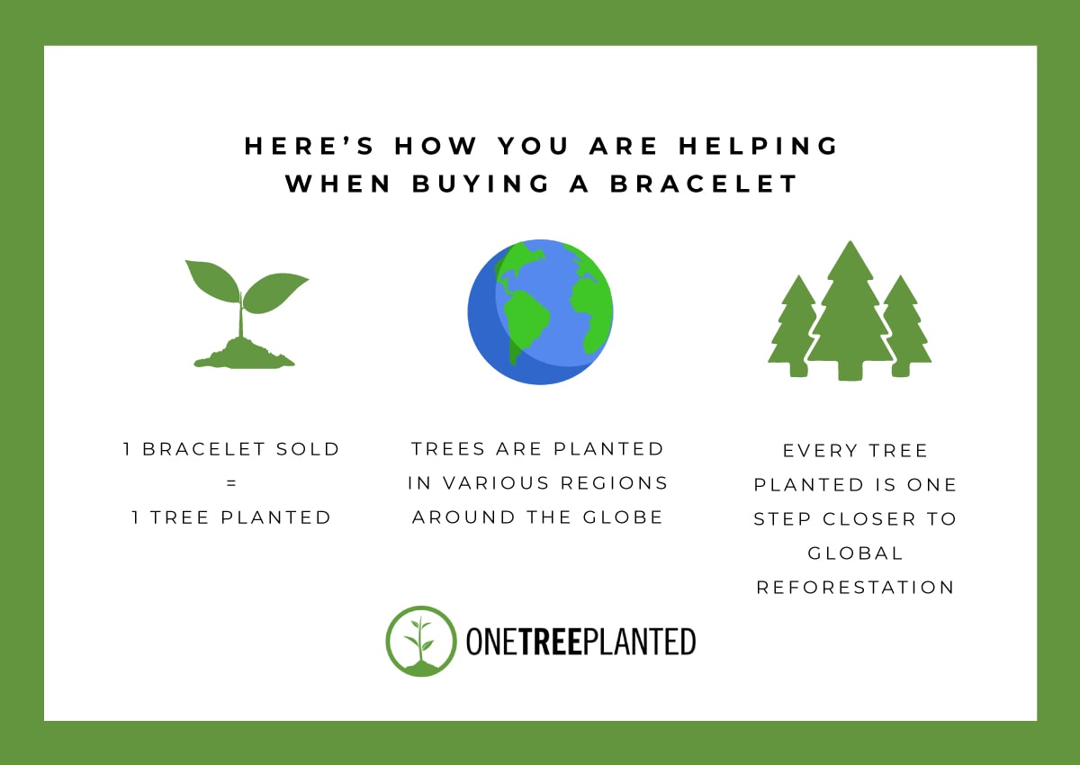 EIN GEPFLANZTER BAUM KISMET LINKS