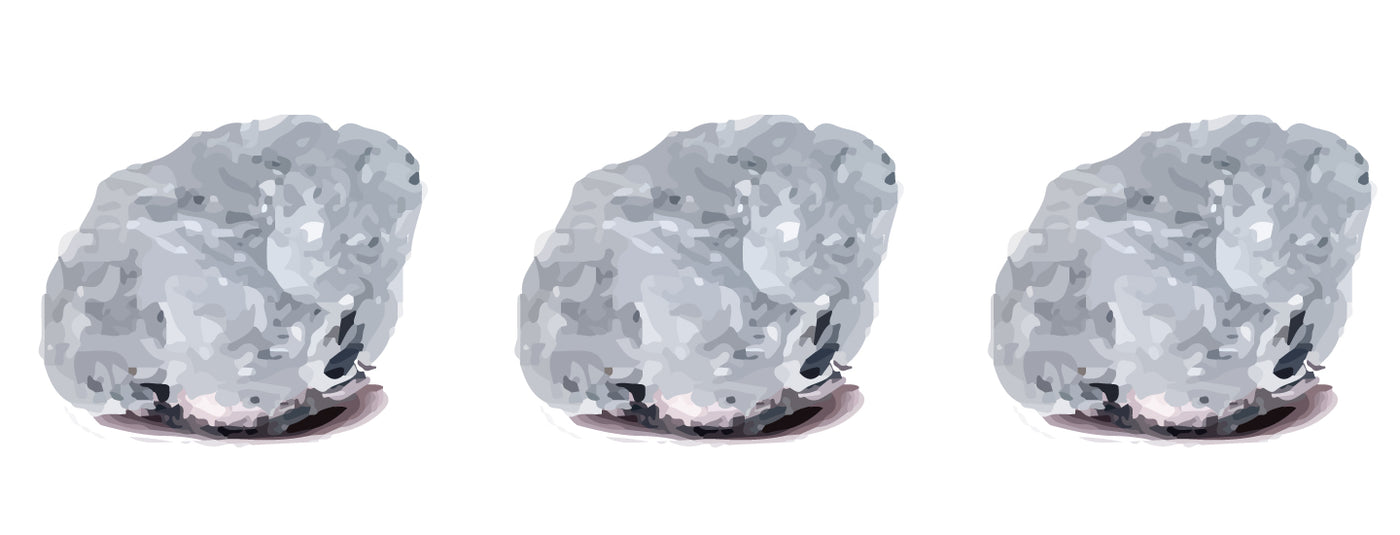 VOLLMOND