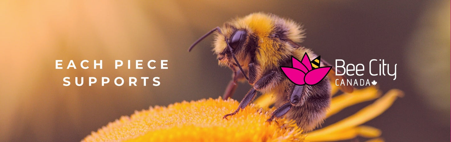 NOGU X BEE CITY