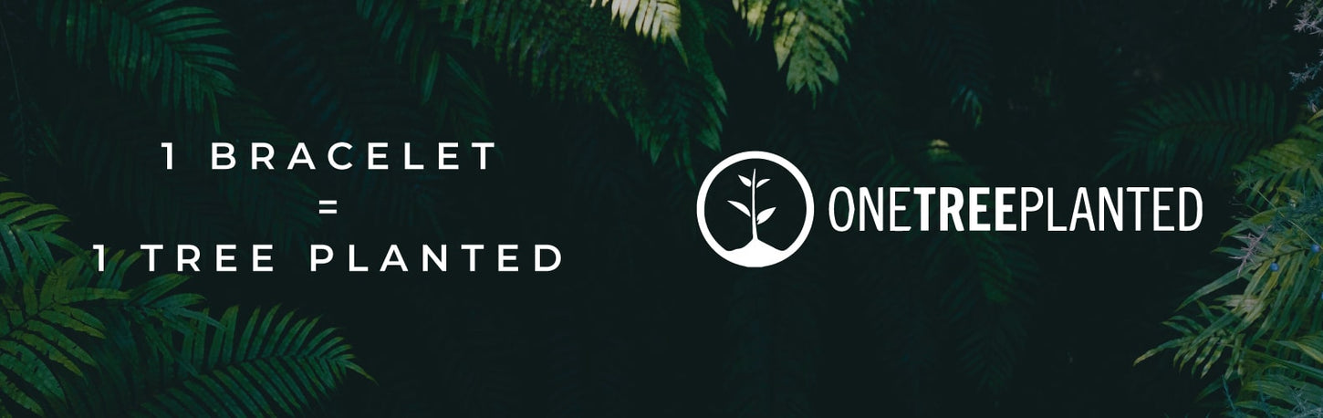 EIN GEPFLANZTER BAUM KISMET LINKS