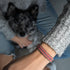 Koralle | Silber | Amici Armband