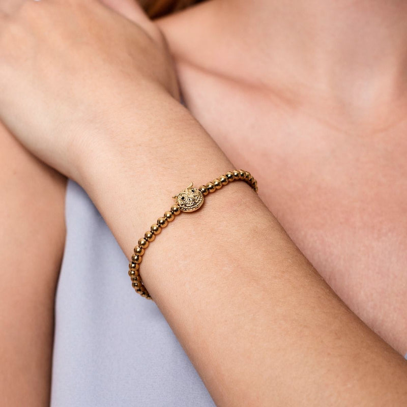 Weisheit | 18 Karat Gold | Kristallnachteule