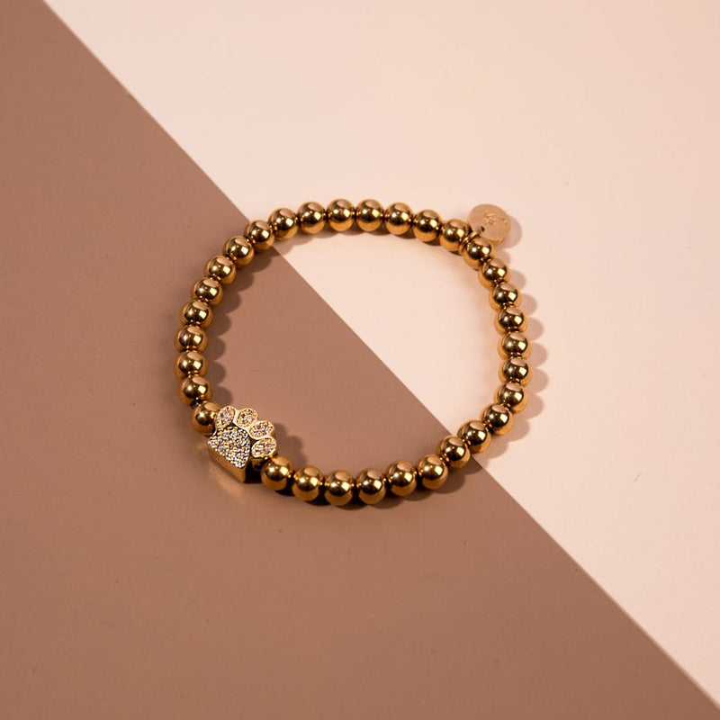 Pfote | 18 Karat Gold | Kristallwelpen-Print