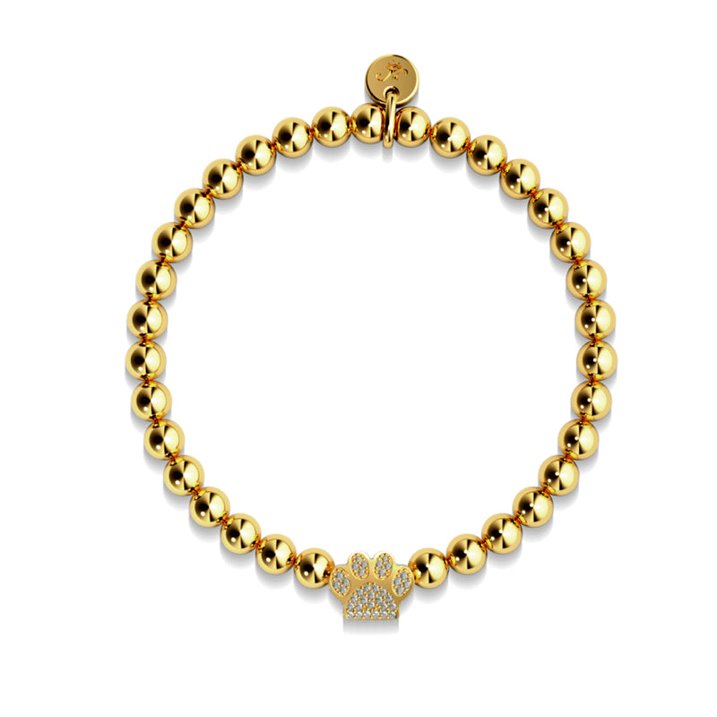 Pfote | 18 Karat Gold | Kristallwelpen-Print
