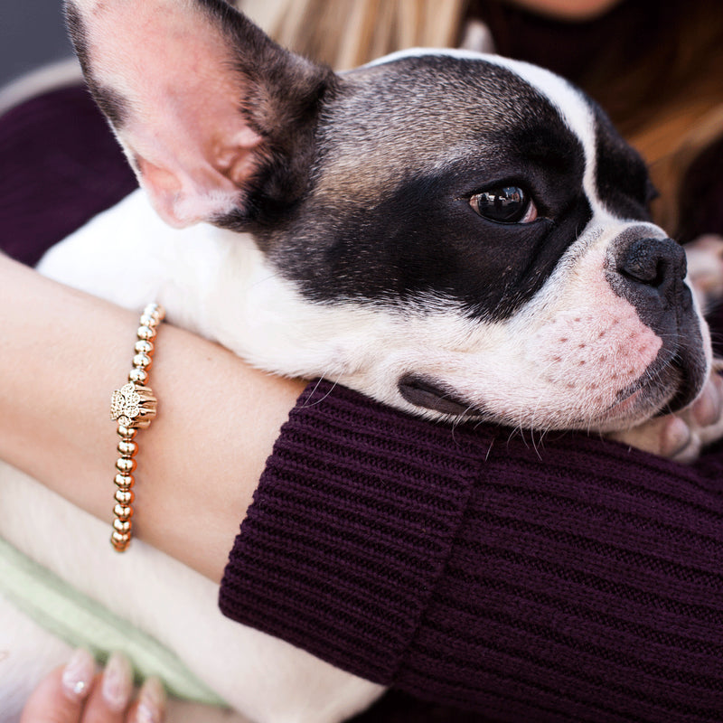 Pfote | 18 Karat Roségold | Kristallwelpen-Print