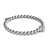Pfote | Silber | Kristallwelpen-Print