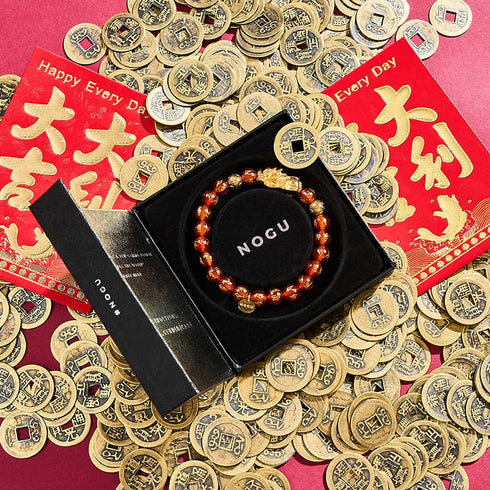 Pixiu Feng Shui Armband | FEUER Element | Roter Achat x 18 Karat Gold