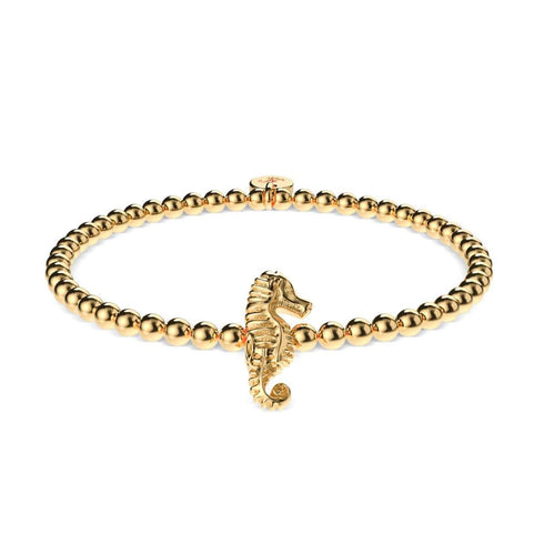 Riff | 18 Karat Gold | Seepferdchen-Charm-Armband