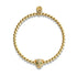 Wild | Gold Vermeil | CZ Diamant Katzenarmband
