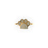 Pfote | Gold Vermeil | CZ Diamant-Ring mit Welpen-Print