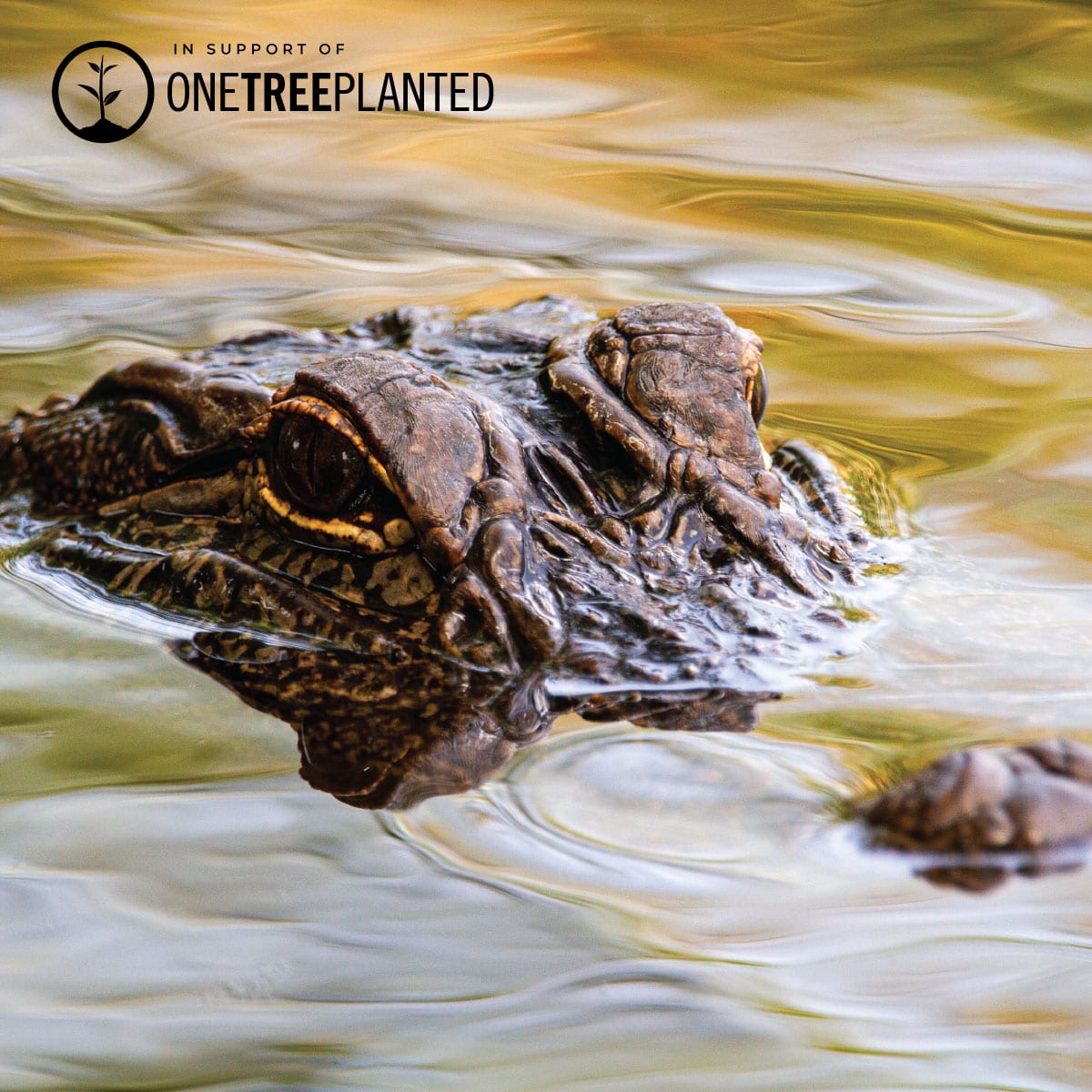 Krokodilglieder | Mini-Kismet-Armband | Mintgrün x Silber