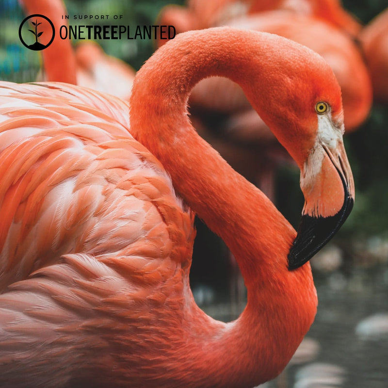 Flamingo-Glieder | Mini-Kismet-Armband | Rosa x Silber