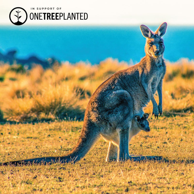 Känguru-Glieder | Mini-Kismet-Armband | Gelb x Silber