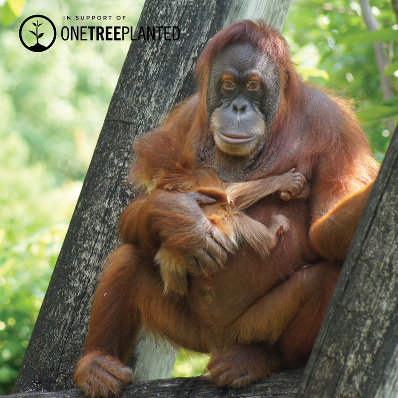 Orang-Utan-Glieder | Mini-Kismet-Armband | Orange x Silber