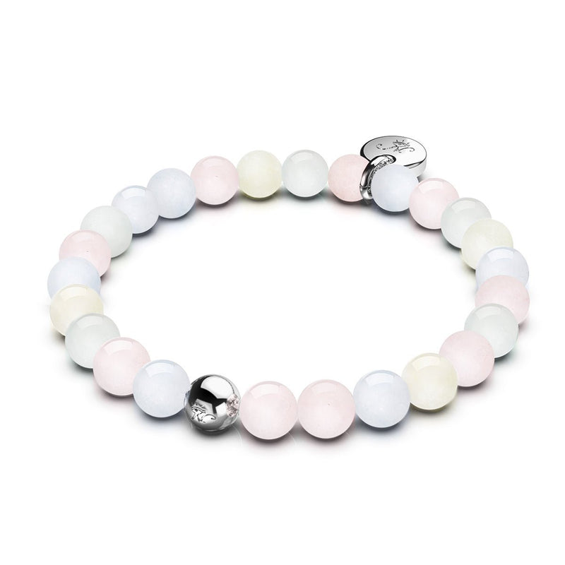 Stechpalmenzweige | 4-teiliges Geschenkset