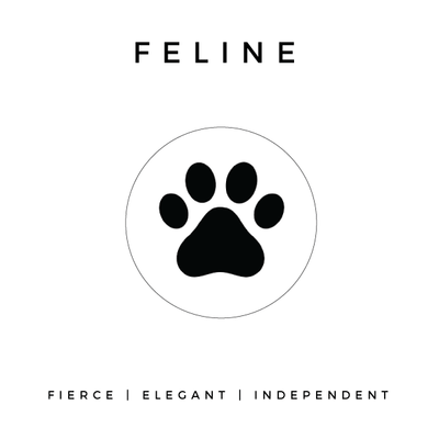FELINE - NOGU.studio