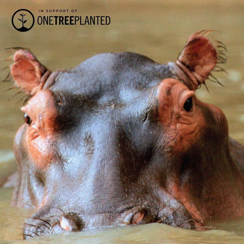 Hippo Links | Mini Kismet Armband | Fuchsia x Silber