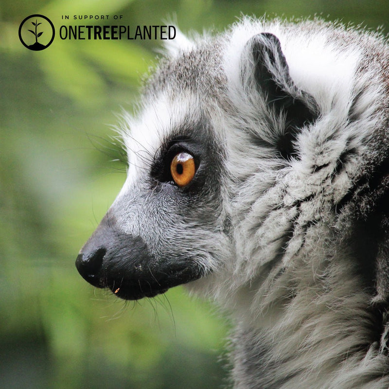 Lemur Links | Mini Kismet Armband | Pfirsich x Silber