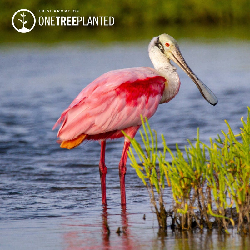 Roségoldene Löffler-Glieder | Mini-Kismet-Armband | Neonpink x Silber