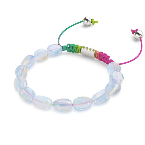 Elektrische Limette | 4-teiliges Geschenkset