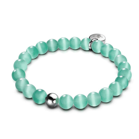 Land und Meer | 4-teiliges Geschenkset